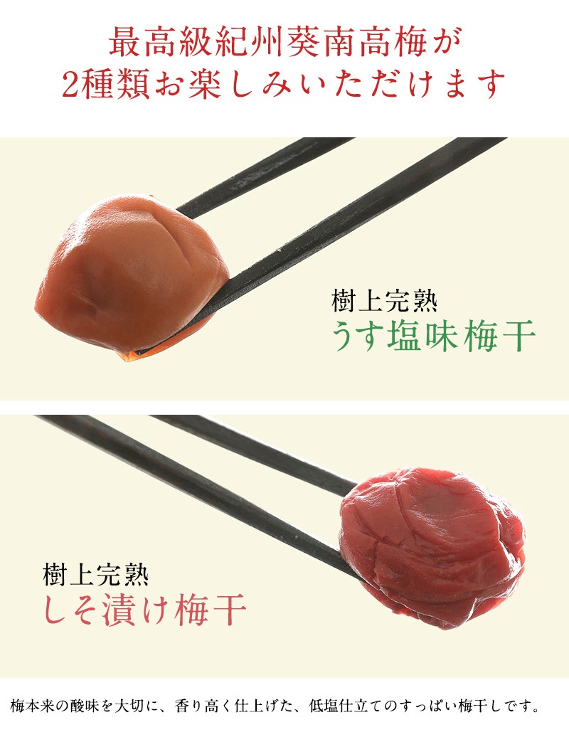 ���渵 ���渵 �ƥ��ե� ���崰������ߴ��� �������� ������12γ �����Τ�̣��ڤ���� ��Ȣ�� ���ե�<br>����̵�����̳�ƻ���������