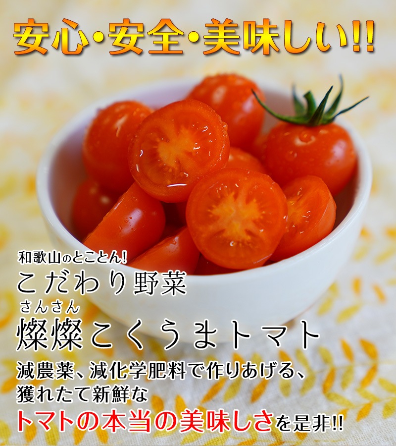 2026ǯ ��ͽ�󳫻� �²λ����� �ߥ˥ȥޥ� �����ʤ��󤵤�ˤ������ޥȥޥ� ��2kg ������ ���������� ���� �ߥ˥ȥޥ� �Ť� �ե롼�ĥȥޥ� ����Τ ����ľ�� ������ ��1����ܺ�����缡�в١�