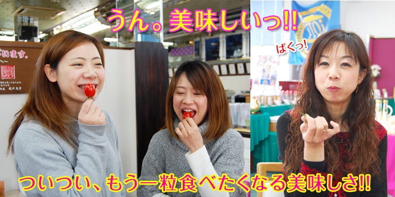 2026ǯ ��ͽ�󳫻� �²λ����� �ߥ˥ȥޥ� �����ʤ��󤵤�ˤ������ޥȥޥ� ��2kg ������ ���������� ���� �ߥ˥ȥޥ� �Ť� �ե롼�ĥȥޥ� ����Τ ����ľ�� ������ ��1����ܺ�����缡�в١�