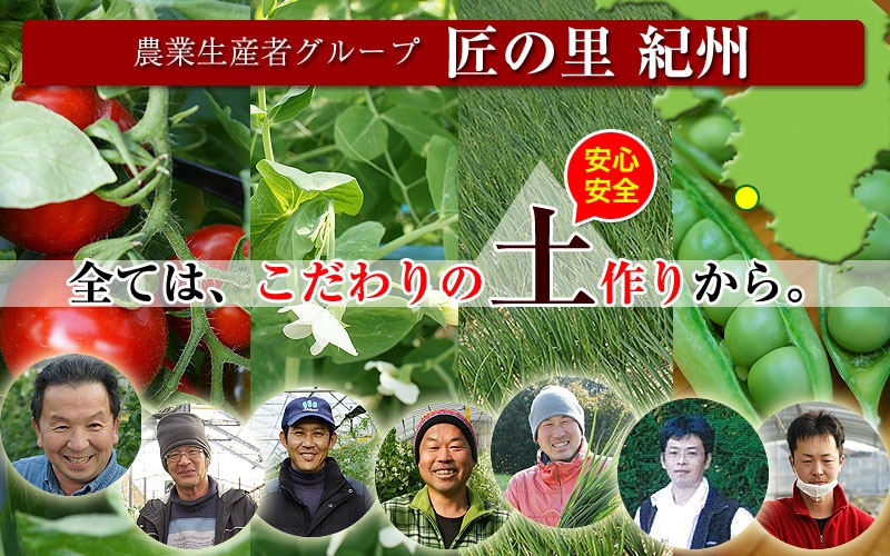 2026ǯ ��ͽ�󳫻� �²λ����� �ߥ˥ȥޥ� �����ʤ��󤵤�ˤ������ޥȥޥ� ��2kg ������ ���������� ���� �ߥ˥ȥޥ� �Ť� �ե롼�ĥȥޥ� ����Τ ����ľ�� ������ ��1����ܺ�����缡�в١�