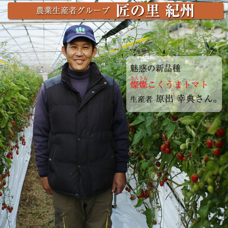 2026ǯ ��ͽ�󳫻� �²λ����� �ߥ˥ȥޥ� �����ʤ��󤵤�ˤ������ޥȥޥ� ��2kg ������ ���������� ���� �ߥ˥ȥޥ� �Ť� �ե롼�ĥȥޥ� ����Τ ����ľ�� ������ ��1����ܺ�����缡�в١�