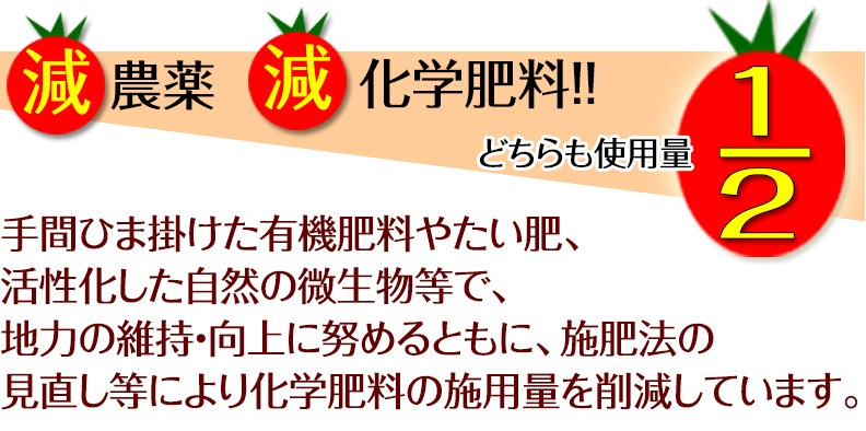 2026ǯ ��ͽ�󳫻� �²λ����� �ߥ˥ȥޥ� �����ʤ��󤵤�ˤ������ޥȥޥ� ��2kg ������ ���������� ���� �ߥ˥ȥޥ� �Ť� �ե롼�ĥȥޥ� ����Τ ����ľ�� ������ ��1����ܺ�����缡�в١�