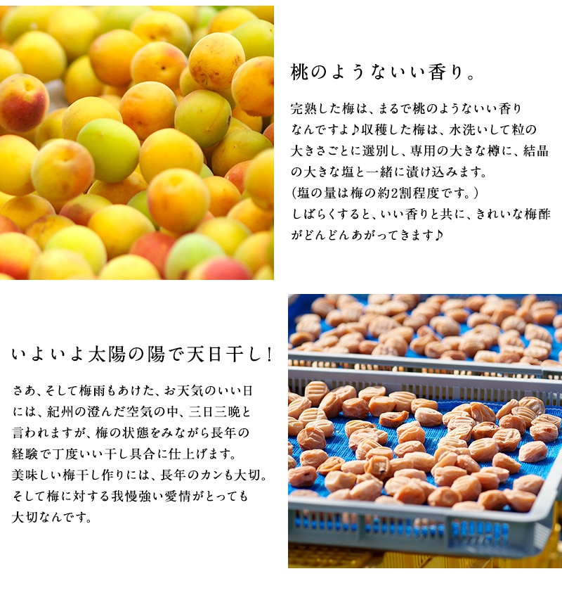 ���渵 ���渵 �ƥ��ե� ���崰������ߴ��� �������� ������20γ  �����Τ�̣��ڤ���� ��Ȣ���� <br>����̵�����̳�ƻ���������