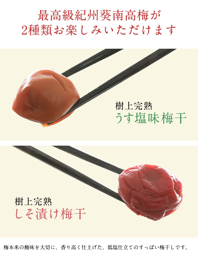 ���渵 ���渵 �ƥ��ե� ���崰������ߴ��� �������� ������20γ  �����Τ�̣��ڤ���� ��Ȣ���� <br>����̵�����̳�ƻ���������