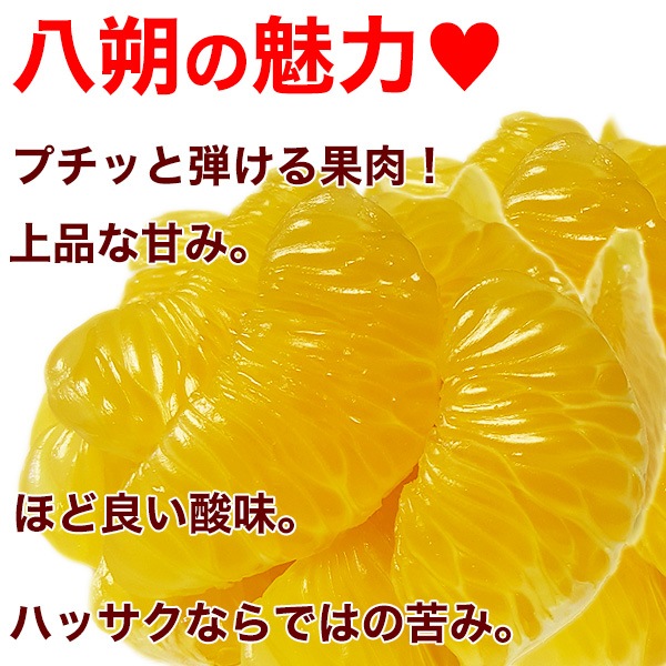 ��ͽ������� �²λ���Ȭ��ʥϥå�������10kg <br>��������ͭ����������  M��2L������ <br>���ʤʴŤߡ����褤��̣�����äζ�ߤ���̣�����Ϥä��� <br>����̵�����̳�ƻ������������������ϤǤ�����ν缡�в١�