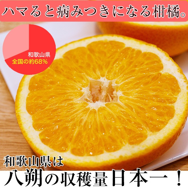��ͽ������� �²λ���Ȭ��ʥϥå�������10kg <br>��������ͭ����������  M��2L������ <br>���ʤʴŤߡ����褤��̣�����äζ�ߤ���̣�����Ϥä��� <br>����̵�����̳�ƻ������������������ϤǤ�����ν缡�в١�