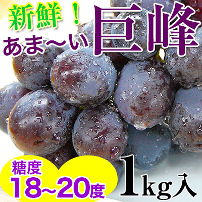 ڤͽ󳫻ϡ<br>1kg24˼<br>²λ ͭĵ¼īΤ<br>ѤߤߤŤäפꥳΤ֤ɤ<br>ˤղ