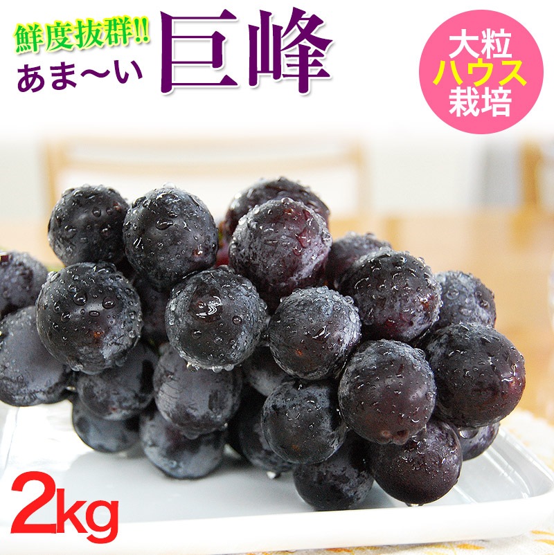 鮮度抜群 朝採り巨峰2kg 4 6房入 年予約販売開始 Br Br ハウス栽培 Br 糖度18 度 大変みずみずしく 甘さたっぷりの大粒ぶどう 無添加あんぽ柿や梅うどん お得な梅干し 野菜にフルーツ ハローキティ立体ケーキの紀州グルメ専門店 ふみこ農園