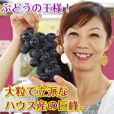 2025ǯ ��ͽ�󳫻� <br>����ȴ����ī�Τ����2kg��4��6˼����<br>�ϥ������� ����18��20�١�<br>���Ѥߤ��ߤ��������Ť����äפ����γ�֤ɤ�