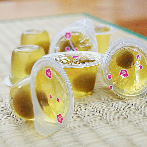 �Ϥ��ߤľ��ߥ��꡼ 10����<br>���ߤδ�Ϫ�Ѥ��ݤ��Ȱ�γ���Ż��äѤ�������䤫�ʥ��꡼<br>5,400�߰ʾ������̵�����̳�ƻ���������