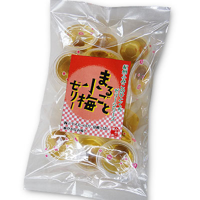 �Ϥ��ߤľ��ߥ��꡼ 10����<br>���ߤδ�Ϫ�Ѥ��ݤ��Ȱ�γ���Ż��äѤ�������䤫�ʥ��꡼<br>5,400�߰ʾ������̵�����̳�ƻ���������