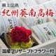 ��ˤ� ���ե� <br>�������� ������11γ���񻺥֥ꥶ���֥ɥե��� ��Ȣ�����եȡ�<br>����̵�� �����̳�ƻ����������<br>���̣�ߡ��������ߤ��餪���ߤǤ�����ĺ���ޤ���
