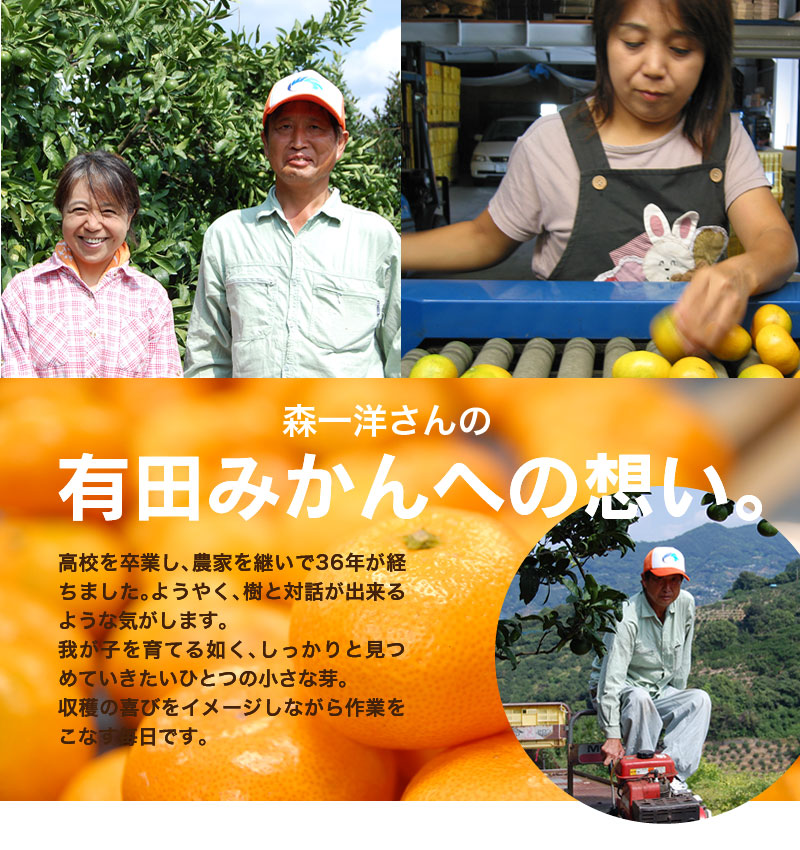 2025ǯ ��ͽ�󳫻�<br>��ˤ� ��� £��ʪ ���ե� ��饮�ե�<br>��Ȣ�� ����ͭ�Ĥߤ���<BR>��� ��Ȣ����25��30�̡���1.5kg����<BR><BR>����̵�����̳�ƻ�����������˴Ť� ��̣ �����ˤ�����ä���̣�����ߤ���ڼ��ϤǤ�����ν缡�в٤Ȥʤ�ޤ��������ϻ���̤���