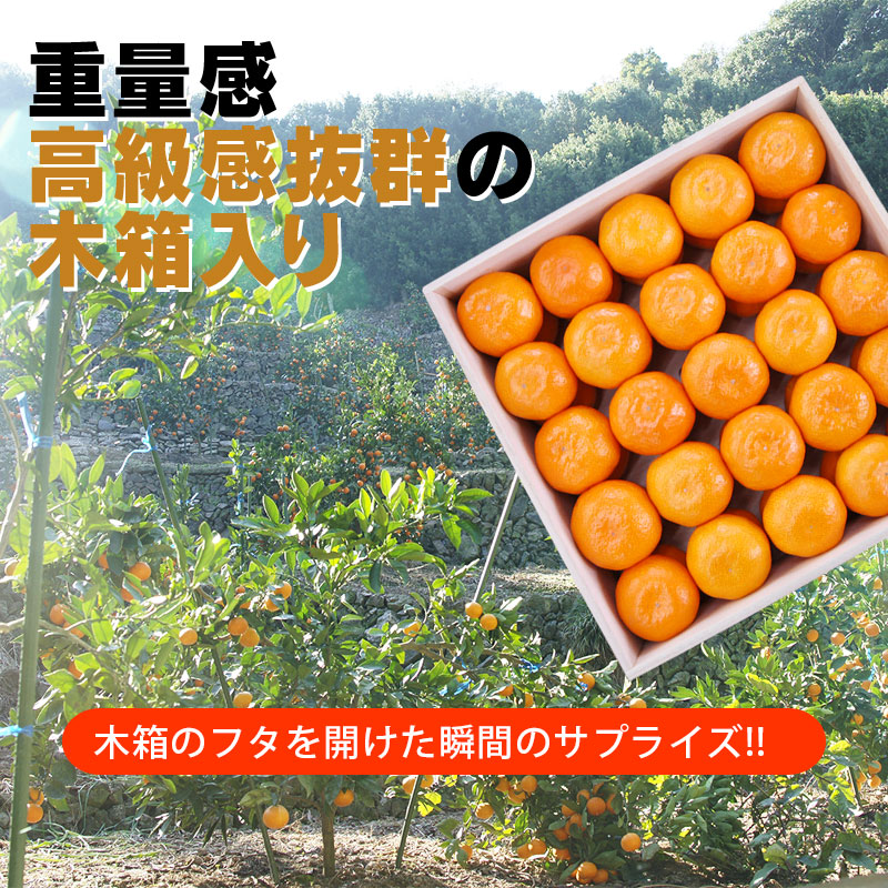 2025ǯ ��ͽ�󳫻�<br>��ˤ� ��� £��ʪ ���ե� ��饮�ե�<br>��Ȣ�� ����ͭ�Ĥߤ���<BR>��� ��Ȣ����25��30�̡���1.5kg����<BR><BR>����̵�����̳�ƻ�����������˴Ť� ��̣ �����ˤ�����ä���̣�����ߤ���ڼ��ϤǤ�����ν缡�в٤Ȥʤ�ޤ��������ϻ���̤���