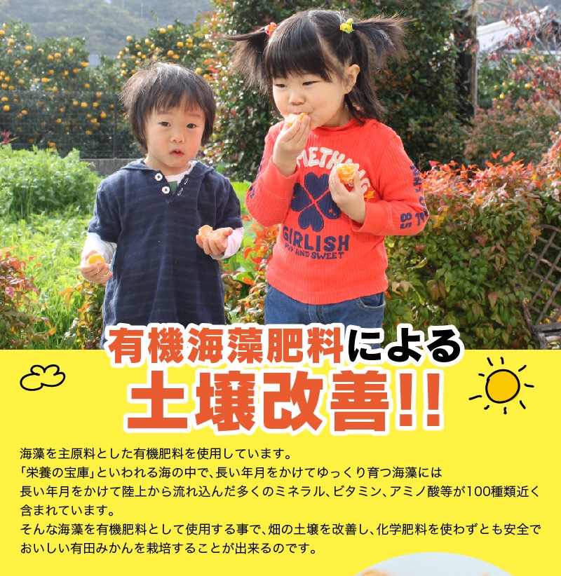 2025ǯ ��ͽ�󳫻�<br>��ˤ� ��� £��ʪ ���ե� ��饮�ե�<br>��Ȣ�� ����ͭ�Ĥߤ���<BR>��� ��Ȣ����25��30�̡���1.5kg����<BR><BR>����̵�����̳�ƻ�����������˴Ť� ��̣ �����ˤ�����ä���̣�����ߤ���ڼ��ϤǤ�����ν缡�в٤Ȥʤ�ޤ��������ϻ���̤���