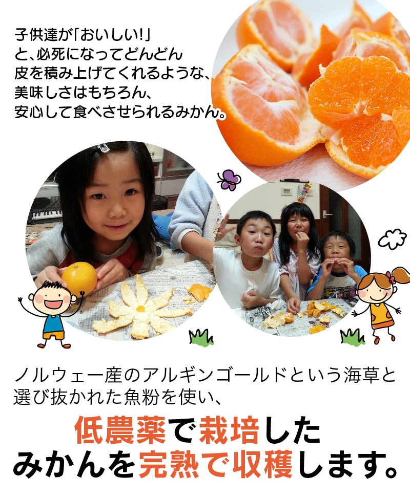 2025ǯ ��ͽ�󳫻�<br>��ˤ� ��� £��ʪ ���ե� ��饮�ե�<br>��Ȣ�� ����ͭ�Ĥߤ���<BR>��� ��Ȣ����25��30�̡���1.5kg����<BR><BR>����̵�����̳�ƻ�����������˴Ť� ��̣ �����ˤ�����ä���̣�����ߤ���ڼ��ϤǤ�����ν缡�в٤Ȥʤ�ޤ��������ϻ���̤���