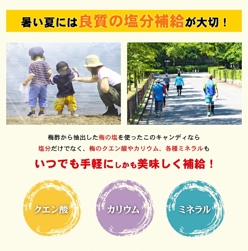 Ǯ���к����ƥХ��к��˸���ȴ����Ǯ�氻<BR><BR>�߱������߱������ǥ��ˤ����ʶ�̳������1kg��<br>��1γ4g ��300γ��<BR>��3�ޤ�����̵����<BR><BR>�ߤΥ���������Τˤ䤵������ʬ���<BR>����������ǥ� �ƥХ��ɻ� �ߥͥ�� �뤵�к� Ǯ����к� �������� ������