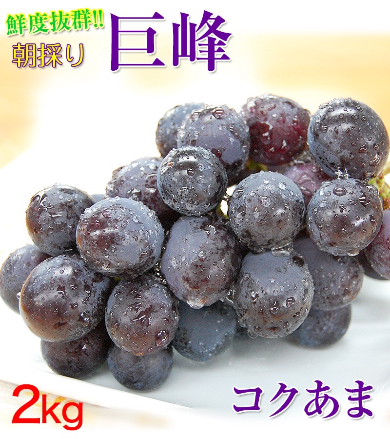 2025ǯ ��ͽ�󳫻� <br>����2kg��4��6˼����<br>�²λ��� ͭ�ĵ���¼��ī�Τ������<br>���Ѥߤ��ߤ��������Ť����äפꥳ���Τ���֤ɤ�<br>����ˤ����ղ�������