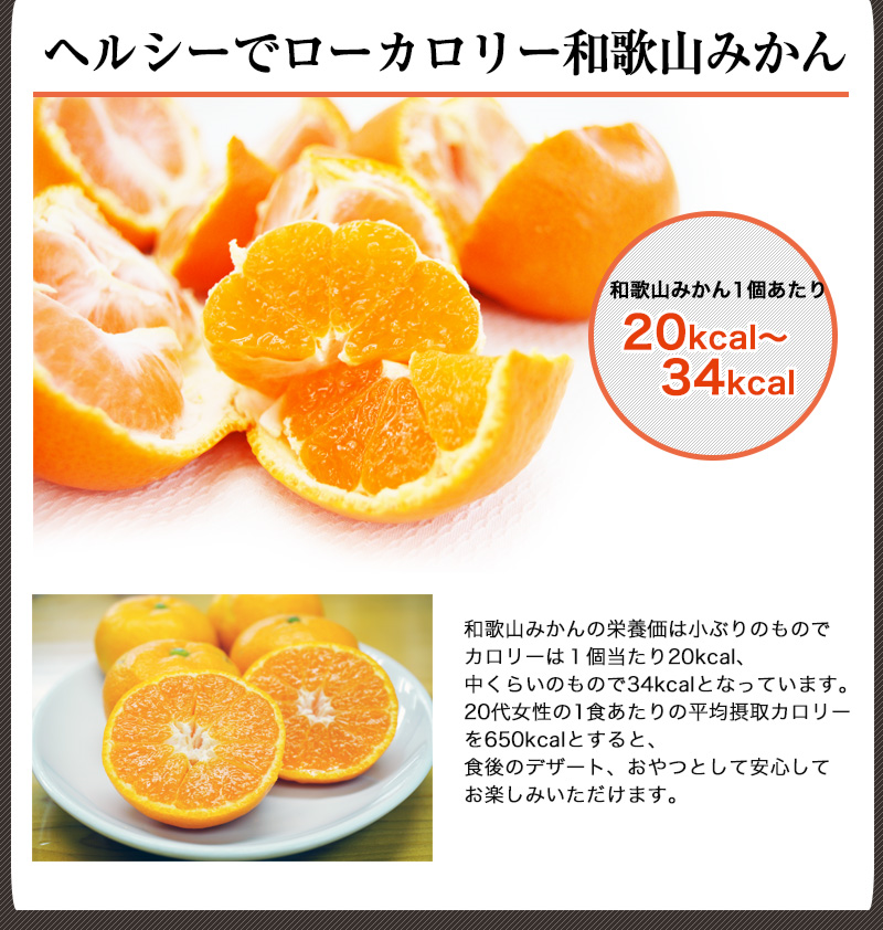 �������� �� ���ե� ��������£��ʪ �����ߤ��󥼥꡼���å�6����(����)<br>���� �������1200ǯ�׵� <br>����̵�����̳�ƻ��������� mom papa sum