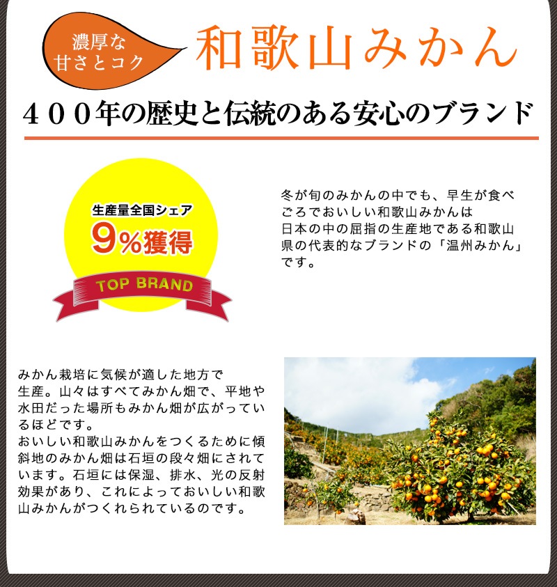 �������� �� ���ե� ��������£��ʪ �����ߤ��󥼥꡼���å�6����(����)<br>���� �������1200ǯ�׵� <br>����̵�����̳�ƻ��������� mom papa sum