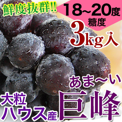 2025ǯ ��ͽ�󳫻� <br>����ȴ����ī�Τ����3kg��6��9˼����<br>�ϥ������� ����18��20�١�<br>���Ѥߤ��ߤ��������Ť����äפ����γ�֤ɤ�