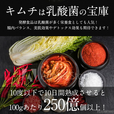 ���渵 ���渵 �ƥ��ե� ����̵�� ���������������٥��å�(5�������ڥ����) �ߡ����򡢥�󥳥��纬����ڥ����<br>����̵�����̳�ƻ��������� sum