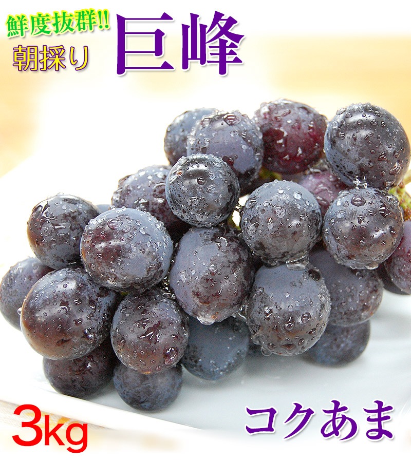 2025年 ご予約開始 <br>巨峰3kg（6～9房入）<br>和歌山県 有田巨峰村の