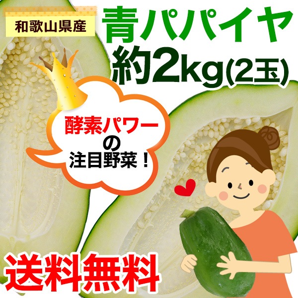 òλ3564ߡ ̵ ²λ ĥѥѥ 2kg2̡ˡ̵ۢϰѥѥǤäפꡪǽäפꡪॿ䥵Ԥ顢֤ᡢե饤˼ʪ졼ˤ⡪֡9ܡ11
