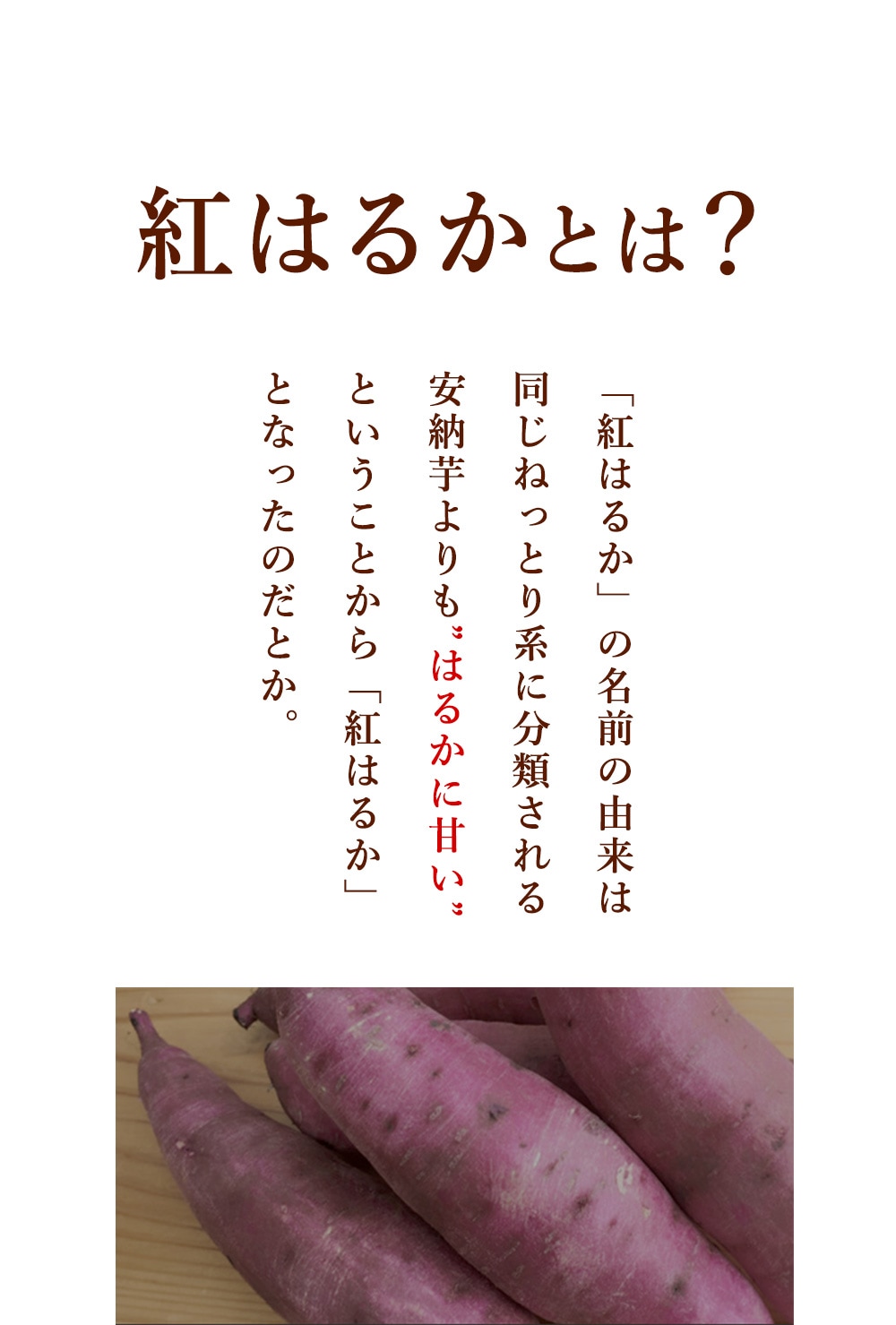 �� �������� �Ƥ��� ̵ź�� ��ǻ̩�Ƥ���2kg  ������������̵���� �ͤäȤꤷ���Ť��Ƥ�����ʹȤϤ뤫�ˤ������̥��å�2kg�� �²ۻ� �ư� �䤭����