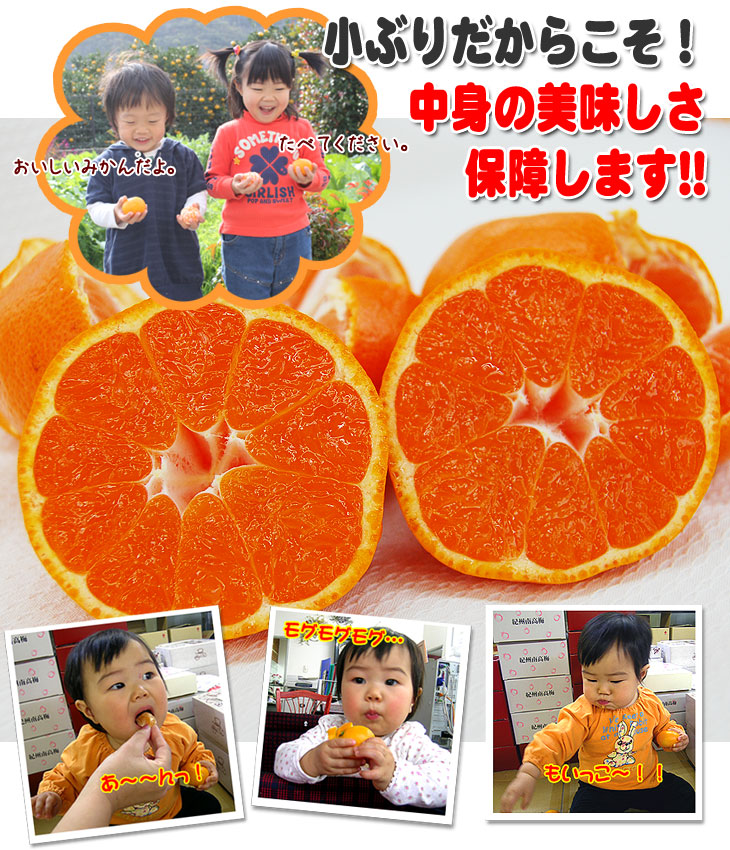 ��ͽ�󳫻� ͭ�Ĥߤ���Υȥåץ֥��ɡ�<BR>����ͭ�ĥߥ���<BR>SS�������Τפ��������� 5kgȢ��������̵����<BR>�Ť��ߤ��� ̪�� ��γ�ߤ��� �����ߤ��� �²λ� ����� ����