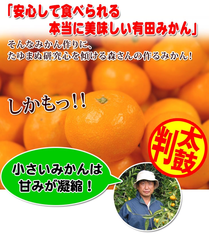 ��ͽ�󳫻� ͭ�Ĥߤ���Υȥåץ֥��ɡ�<BR>����ͭ�ĥߥ���<BR>SS�������Τפ��������� 5kgȢ��������̵����<BR>�Ť��ߤ��� ̪�� ��γ�ߤ��� �����ߤ��� �²λ� ����� ����