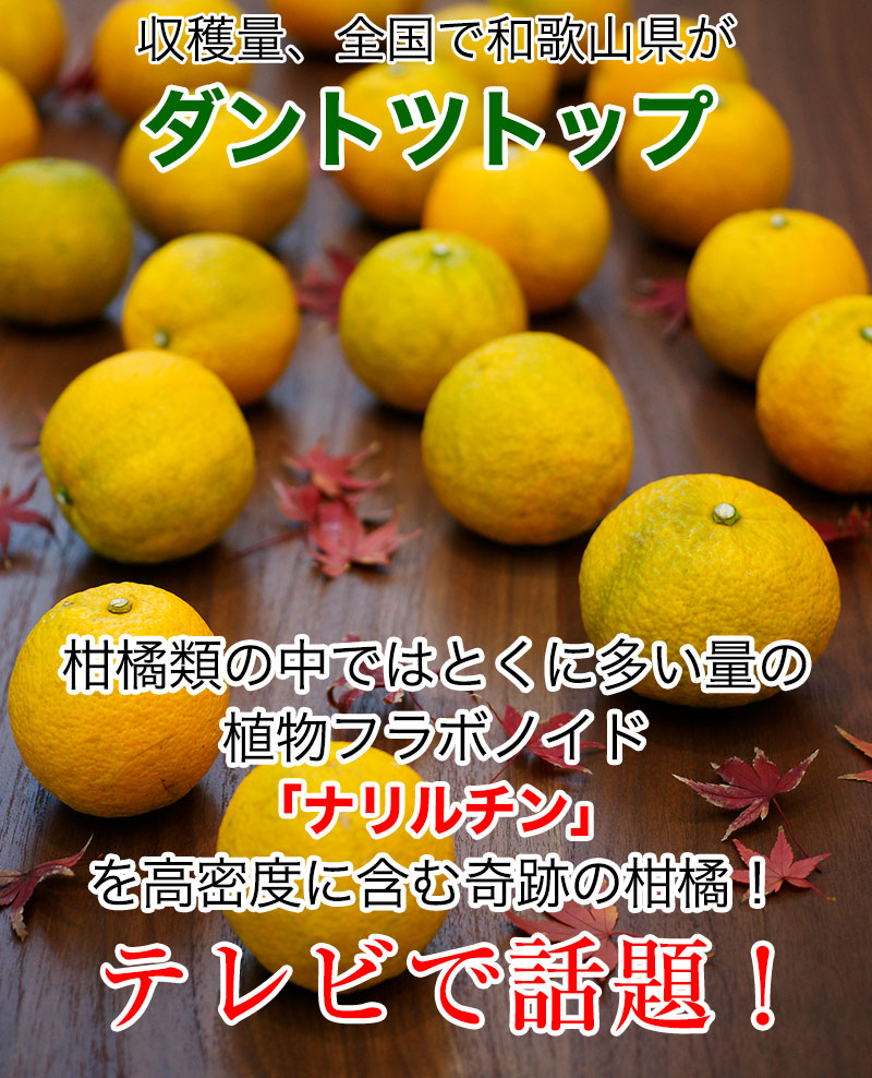 ̵ź�� ����Ф� ʴ��30g<br>100���²λ����� �ʥ�������ǻ�٤˴ޤ���פδ��̡�<br>�ƥ�Ӥ�����Υ���Х���顪<br>�ͥ��ݥ��ء���������̵����