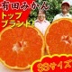 ��ͽ�󳫻� ͭ�Ĥߤ���Υȥåץ֥��ɡ�����ͭ�ĥߥ��� SS�������Τפ��������� 7kgȢ��������̵���� �Ť��ߤ��� ̪�� ��γ�ߤ��� �����ߤ��� �²λ� ����� ����