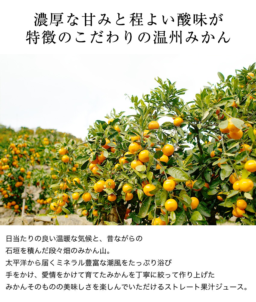 ��10%OFF�����ݥ�������� ���ե� �̼¥��塼�� �����̼¤��ܤꥸ�塼�� �ʤߤ��󡢴�������ߡ���������10�ܥ��å�<br>����̵�����̳�ƻ���������