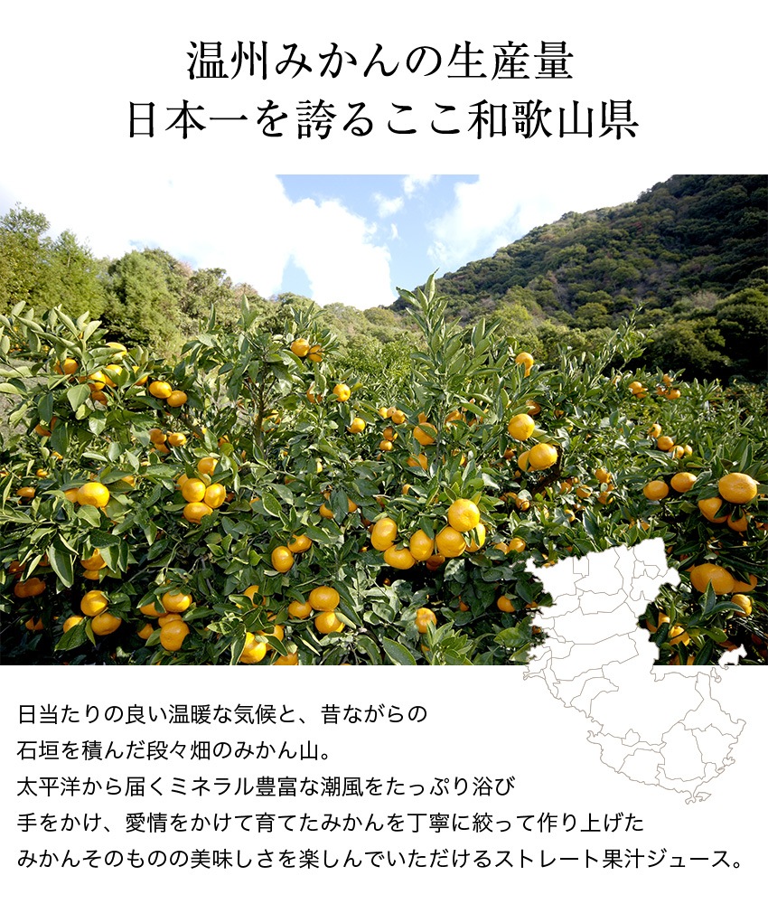 渵 渵 ƥե ̼¥塼 ̼¤ܤꥸ塼 6 <br>ʤߤ󡢴ߡ<br>̵̳ƻ  mom papa sum kr 