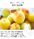 渵 渵 ƥե ̼¥塼 ̼¤ܤꥸ塼 6 <br>ʤߤ󡢴ߡ<br>̵̳ƻ  mom papa sum kr 