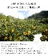 渵 渵 ƥե ̼¥塼 ̼¤ܤꥸ塼 6 <br>ʤߤ󡢴ߡ<br>̵̳ƻ  mom papa sum kr 