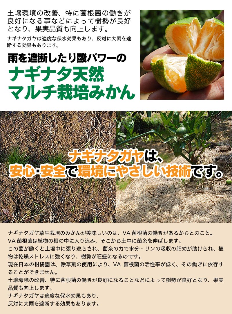 2025ǯ ��ͽ�󳫻� �������������Υޥ�����ݤǺ����̣����ͭ�Ĥߤ��� �̥����� 10kg <br>����̵�����̳�ƻ������������ �Ť�����̣����̪��<br>11��ܤ��餴��ʸ��˽缡ȯ���ʻ������Բġ�