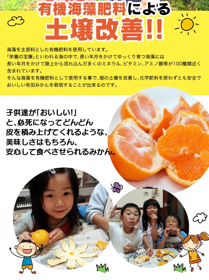 2025ǯ ��ͽ�󳫻� �������������Υޥ�����ݤǺ����̣����ͭ�Ĥߤ��� �̥����� 10kg <br>����̵�����̳�ƻ������������ �Ť�����̣����̪��<br>11��ܤ��餴��ʸ��˽缡ȯ���ʻ������Բġ�