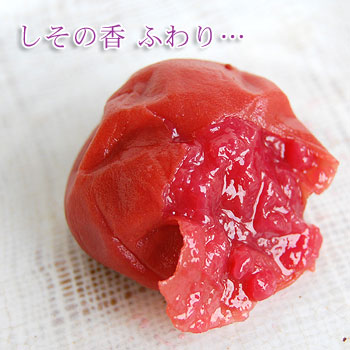 �������Ѥˡ�<br>����������ʤĤ���������ߤ������ߡ�400g��<br>5,400�߰ʾ������̵�����̳�ƻ���������