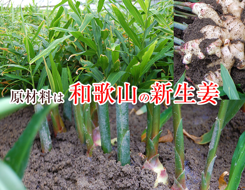 ¸忧̵ź դߤιժ600g ʸǷ500g<br>²λοժѤժ<br>̵̳ƻ