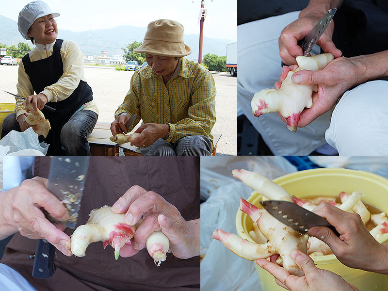 ¸忧̵ź դߤιժ600g ʸǷ500g<br>²λοժѤժ<br>̵̳ƻ