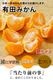 2025ǯ ��ͽ�󳫻� �������������Υޥ�����ݤǺ����̣����ͭ�Ĥߤ��� �̥����� 5kg <br>����̵�����̳�ƻ������������ �Ť�����̣����̪��<br>11��ܤ��餴��ʸ��˽缡ȯ���ʻ������Բġ�