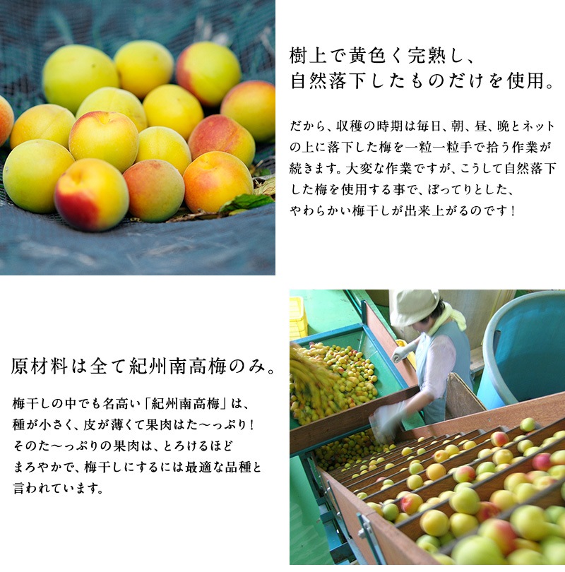  Ĥ֤ ߴ<br>Ϥߤ270gʱʬ8<br>5,400߰ʾ̵̳ƻ