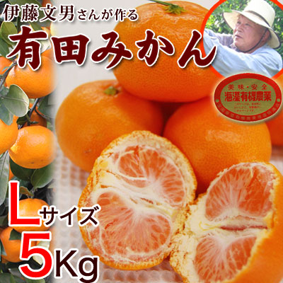 2020ǯ ��ͽ�󳫻ϡ�����ͭ�Ĥߤ���̥����� 5kg������̵����<BR>��ƣʸ�ˤ��󤬺�봰��ͭ�Ĥߤ���<BR>�����롦��£���˿͵��Ǥ�<BR>�ڤ�ͽ�󳫻�/11��ܤ��缡�в١�<BR><BR>�ڴŤ��ߤ���̪�����ߥ������Ρ������ߤ���ͭ�Ļԡ��²λ���