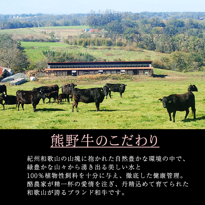 �²λ�����̣���������µ����ơ�����<br>��������ơ���3�￩�����6�祻�å�<br>���������󥹥ơ��������������ơ������ֿȥ��ץ��ơ���<br>�����ι���µ��򤪳ڤ��ߤ�������������������̵����