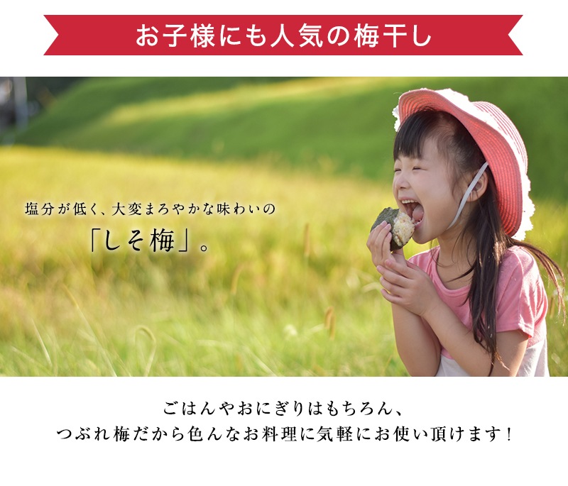 ��������� ����Ĥ֤� �ߴ���<br>������250g�ʱ�ʬ12���<br>5,400�߰ʾ������̵�����̳�ƻ���������