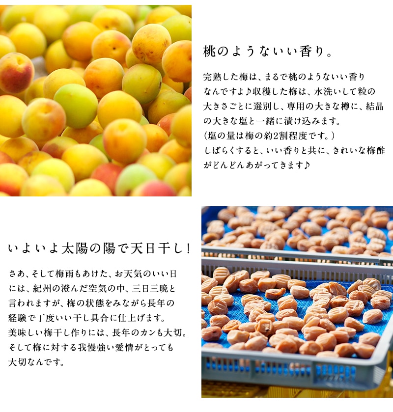 ��������� ����Ĥ֤� �ߴ���<br>������250g�ʱ�ʬ12���<br>5,400�߰ʾ������̵�����̳�ƻ���������