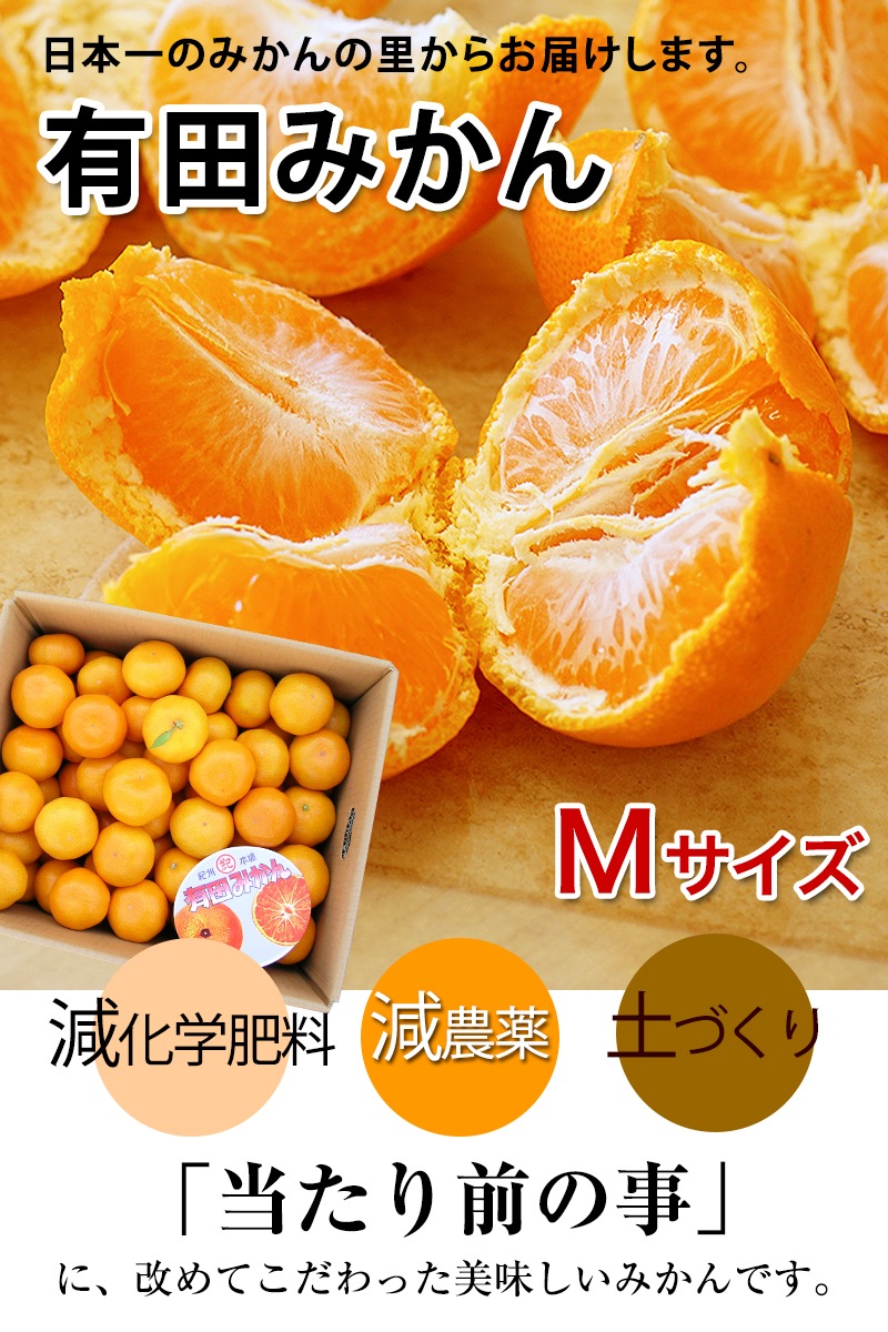 2025ǯ ��ͽ�󳫻� �������������Υޥ�����ݤǺ����̣����ͭ�Ĥߤ��� M������ 5kg <br>����̵�����̳�ƻ������������ �Ť�����̣����̪��<br>11��ܤ��餴��ʸ��˽缡ȯ���ʻ������Բġ�