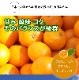 2025ǯ ��ͽ�󳫻� �������������Υޥ�����ݤǺ����̣����ͭ�Ĥߤ��� �ӥ����� 10kg <br>����̵�����̳�ƻ������������ �Ť�����̣����̪��<br>11��ܤ��餴��ʸ��˽缡ȯ���ʻ������Բġ�